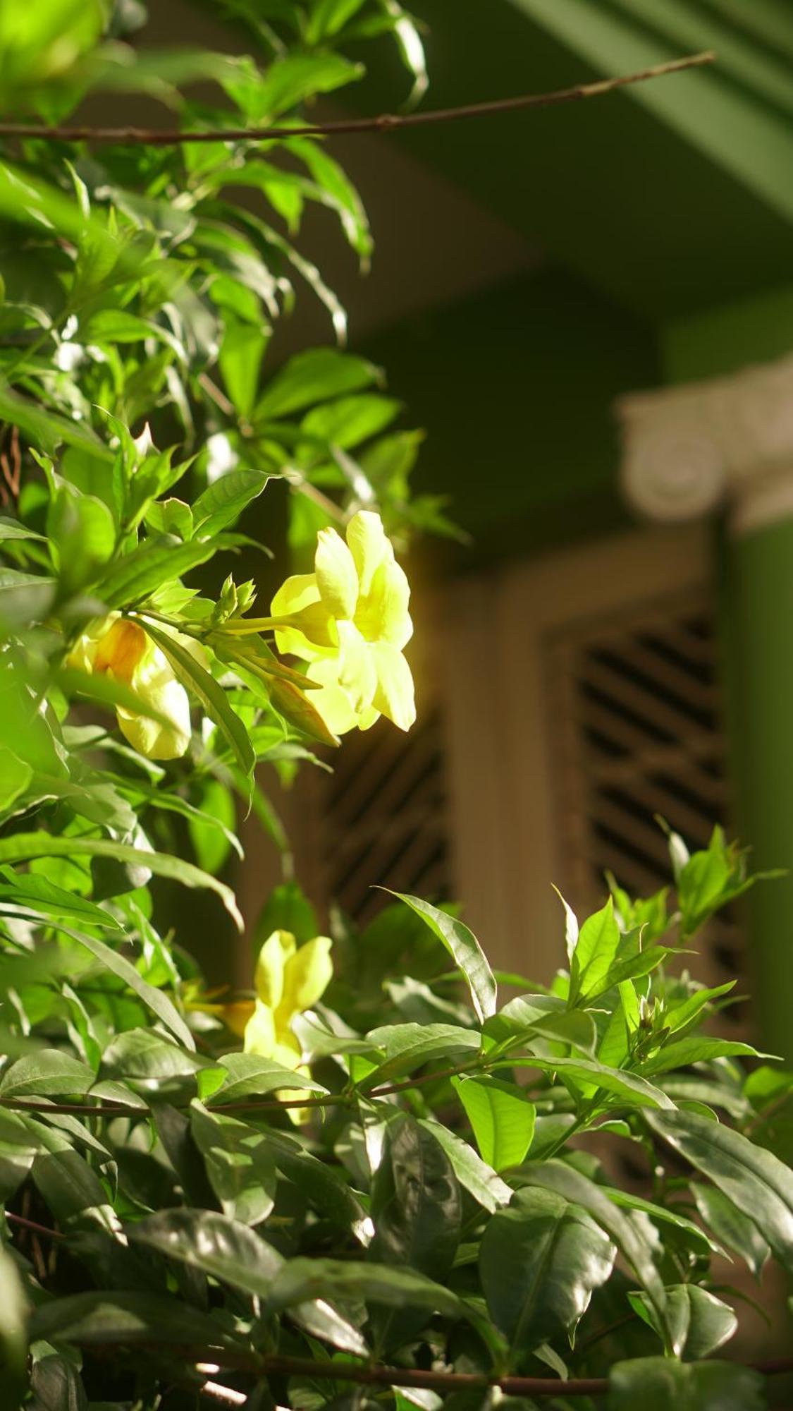 Albergue Poa Eco *