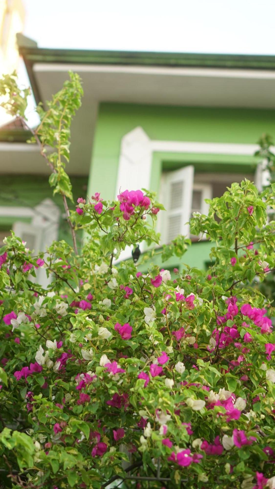 Albergue Poa Eco