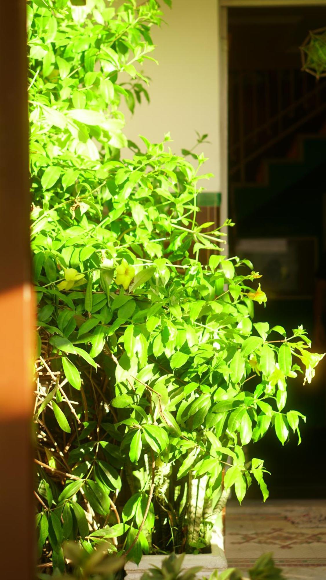 Albergue Poa Eco *